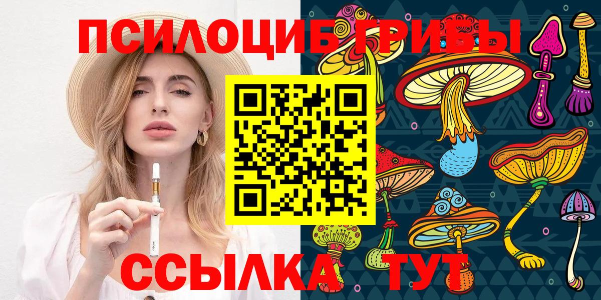 Урус-Мартан  Псилоцибиновые грибы Cubensis  Вход с VPN 