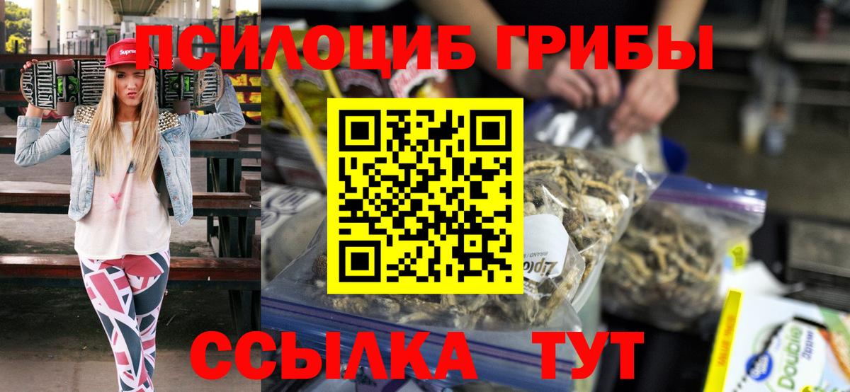 Псилоцибиновые грибы Cubensis Урус-Мартан